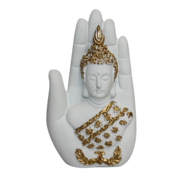 Ceramic Display Magnets (CDM8)