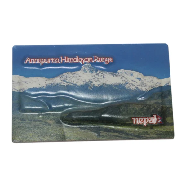 Pop Up Fridge Magnets (PFM21)