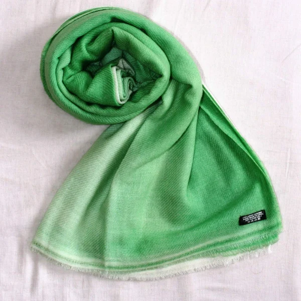 Cashmere Shawl (CS17)