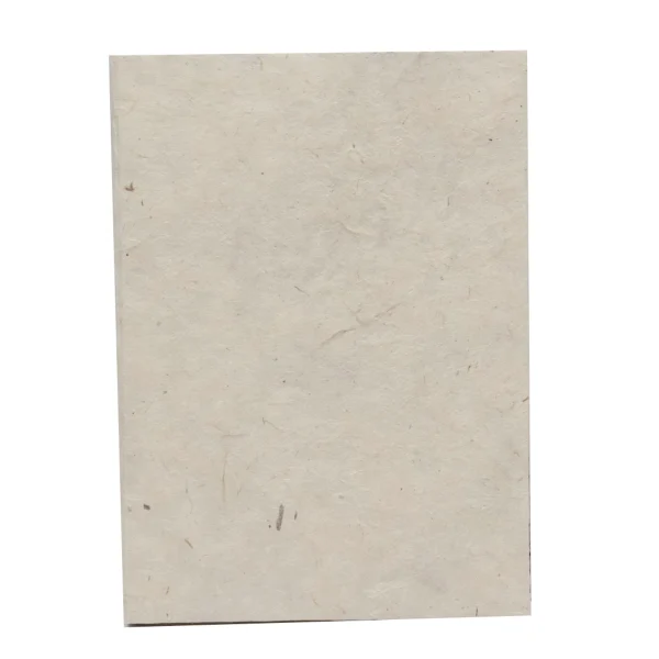 Blank Notebook (BN1)