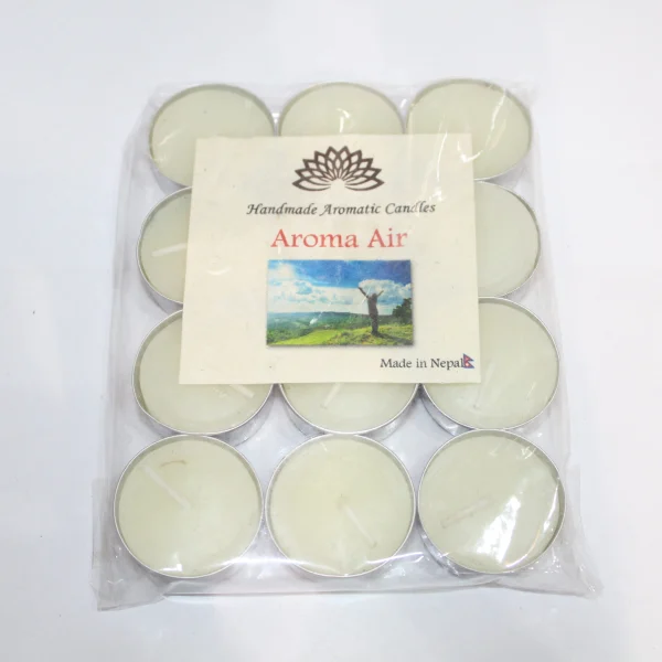 Scented Candle (SNC2)