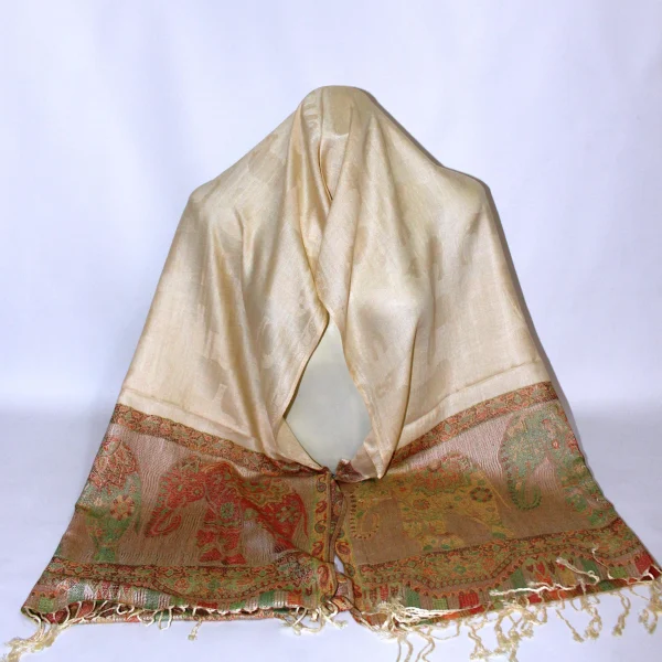 Pashmina Shawl (PS4)