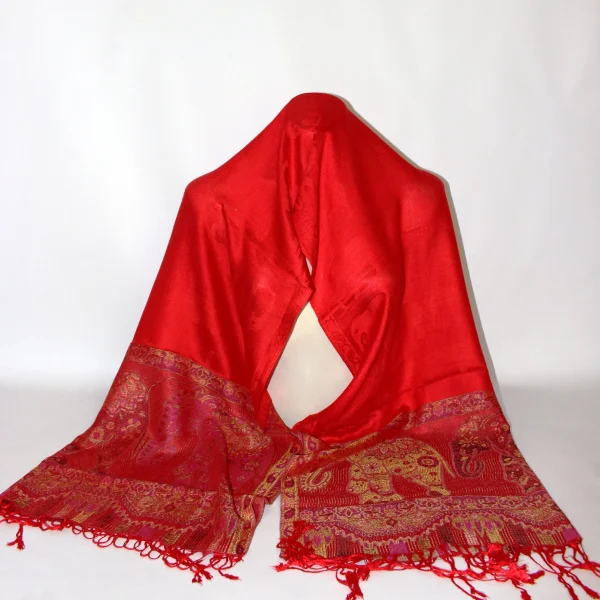 Pashmina Shawl (PS61)