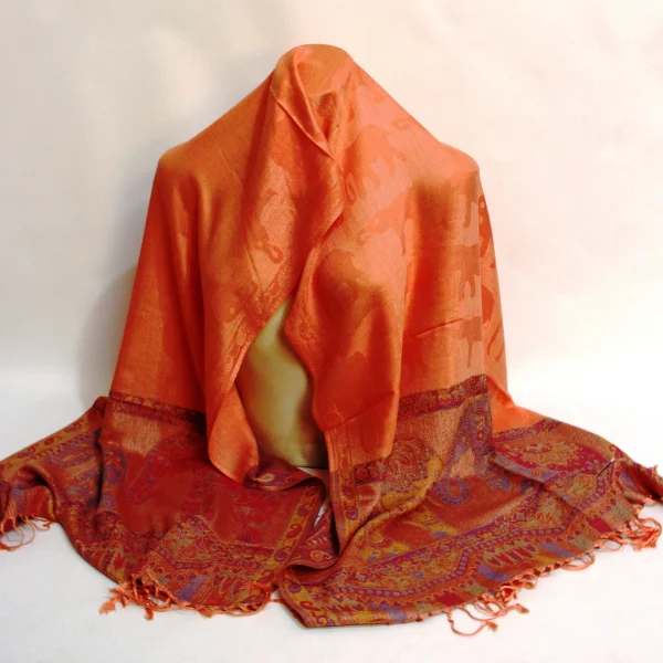 Pashmina Shawl (PS7)